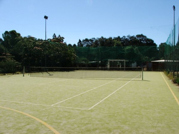 Campo da tennis su erba sintetica, circondato da reti e alberi.