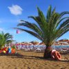 Palmetta su una spiaggia con bandiere e ombrelloni arancioni sullo sfondo.