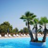 Piscina blu con palme centrali e lettini bianchi intorno. Alberi sullo sfondo.