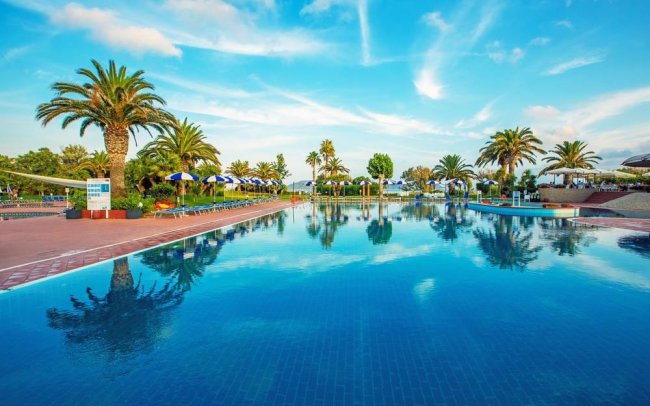 Piscina all'aperto circondata da palme.