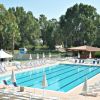 Una piscina all'aperto con lettini e ombrelloni.