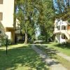 Stradina tra palazzi e alberi in un giardino soleggiato.