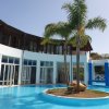 Piscina con palma centrale e edificio curvo.
