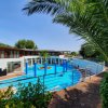 Piscina con palme e terrazze soleggiate.