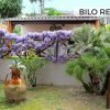 Giardino con glicine in fiore e palme.