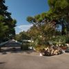 Viale con piante e fiori.