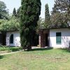 Casa con persiane verdi circondata da alberi.