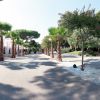 Viale con palme e giardino.