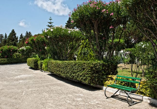 Sentiero con siepi curate e panchina verde tra alberi fioriti.