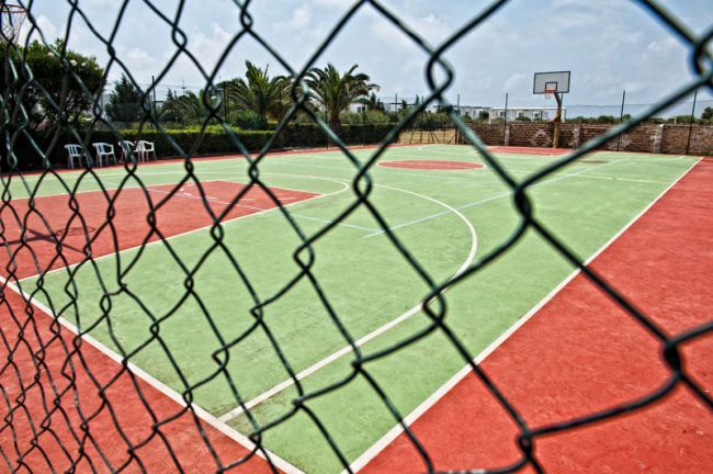 Campo da basket con recinzione e palme sullo sfondo.
