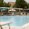 Piscina con lettini e ombrelloni verdi.