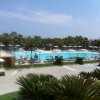Piscina all'aperto con palme e lettini.