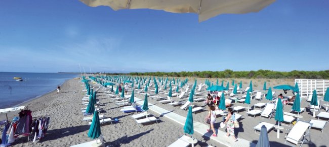 Spiaggia con file di lettini e ombrelloni verdi.
