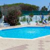 Piscina vuota con ombre e fiori di piante vicine.