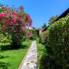 Vialetto tra cespugli fioriti e alberi verdi.