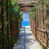 Sentiero con pergolato di legno e piante verso il mare azzurro.