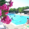 Piscina con fiori rosa e sedie a sdraio.