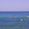 Mare con persone che remano su kayak gialli.