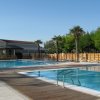Due piscine circondate da palme e recinzione in legno.