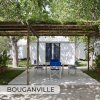Un patio ombreggiato con sedie blu tra alberi.
