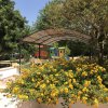 Area giochi tra fiori gialli e alberi.
