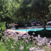 Piscina con ombrelloni colorati e fiori viola.